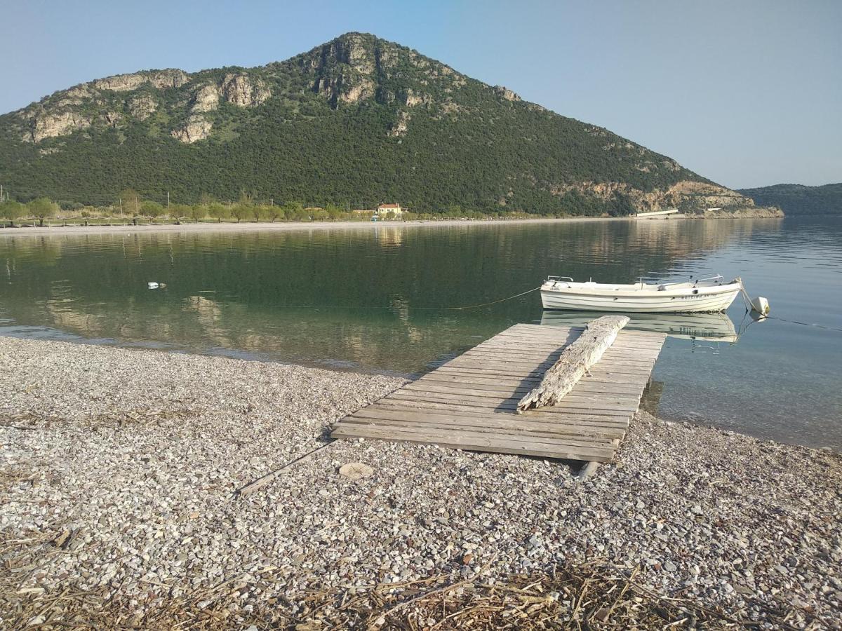 Hotel Theasis Παραλία Σεργούλας Εξωτερικό φωτογραφία